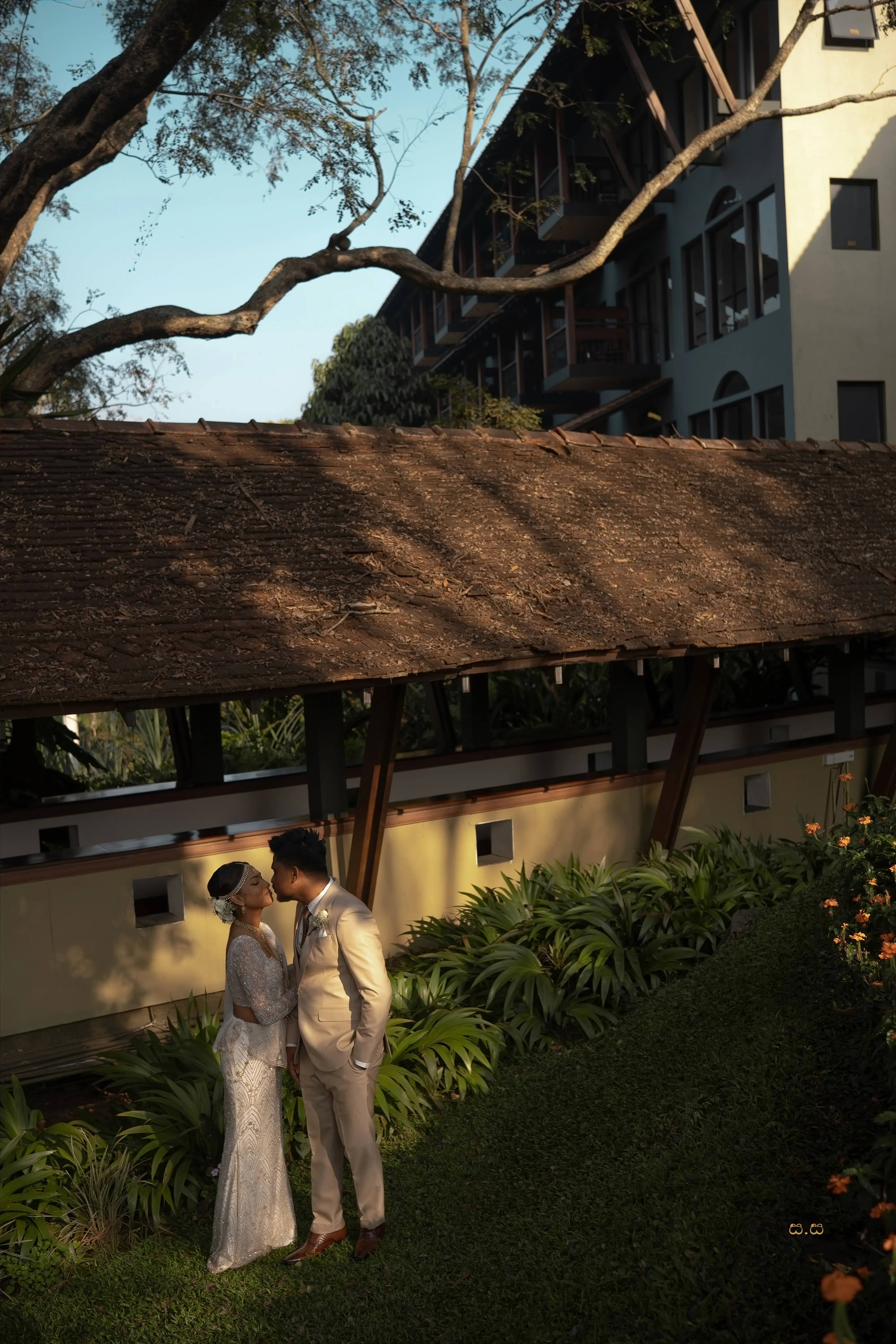 A broad tree shades the wedding venue on a clear mountain morning.