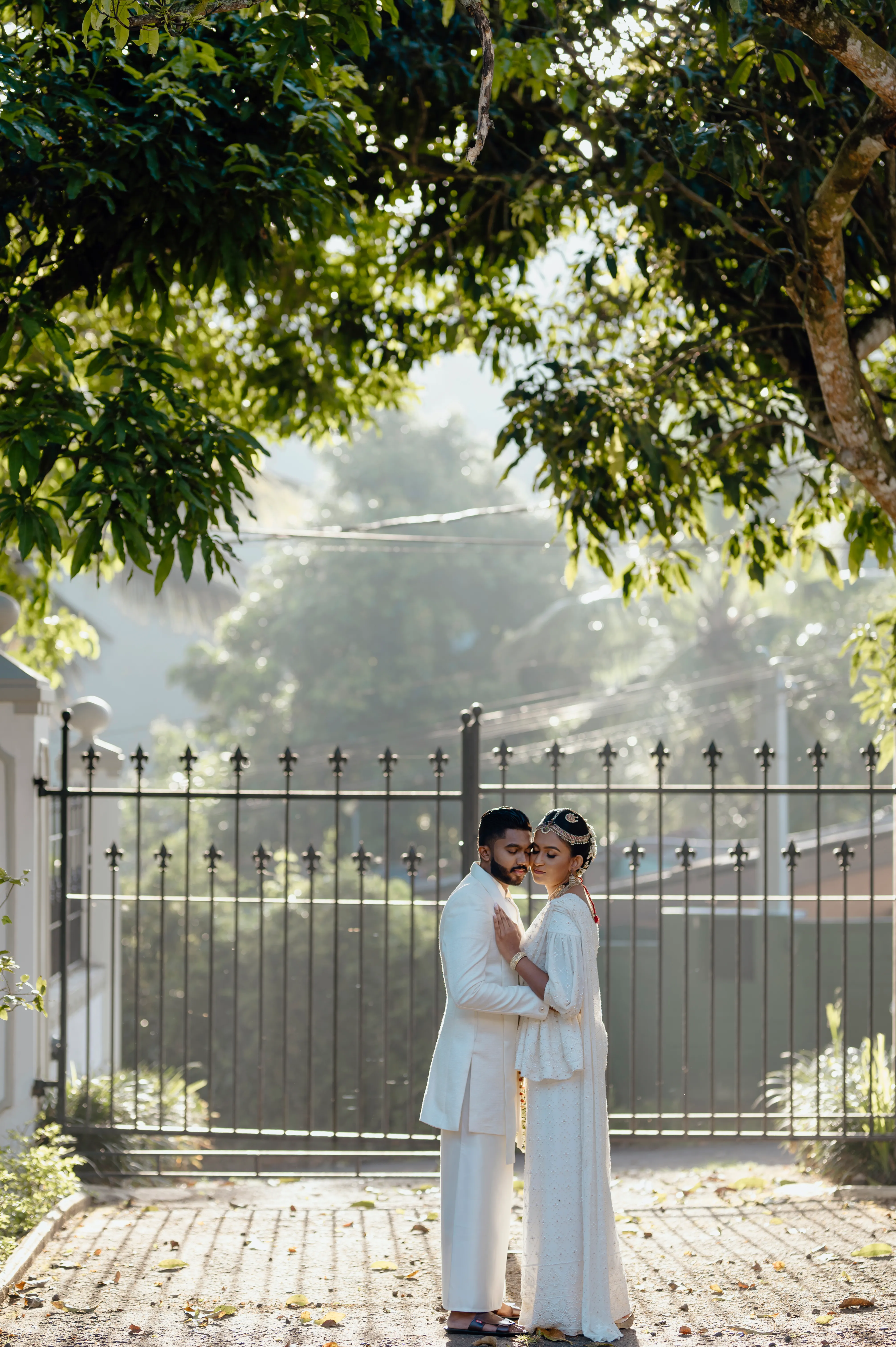 Morning light filters through a leafy canopy above the wedding garden.