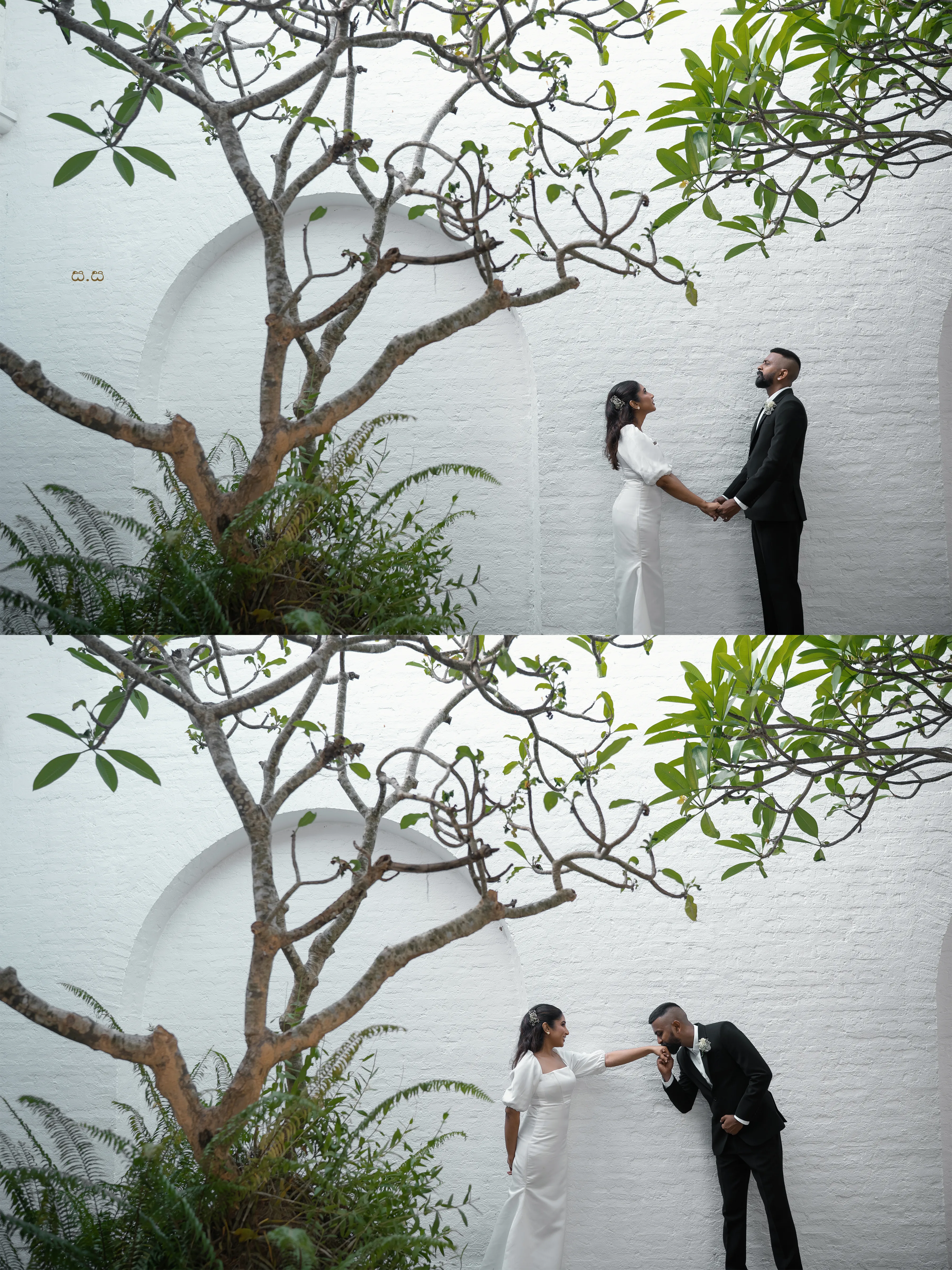 The couple meets under broad branches against a quiet white wall.