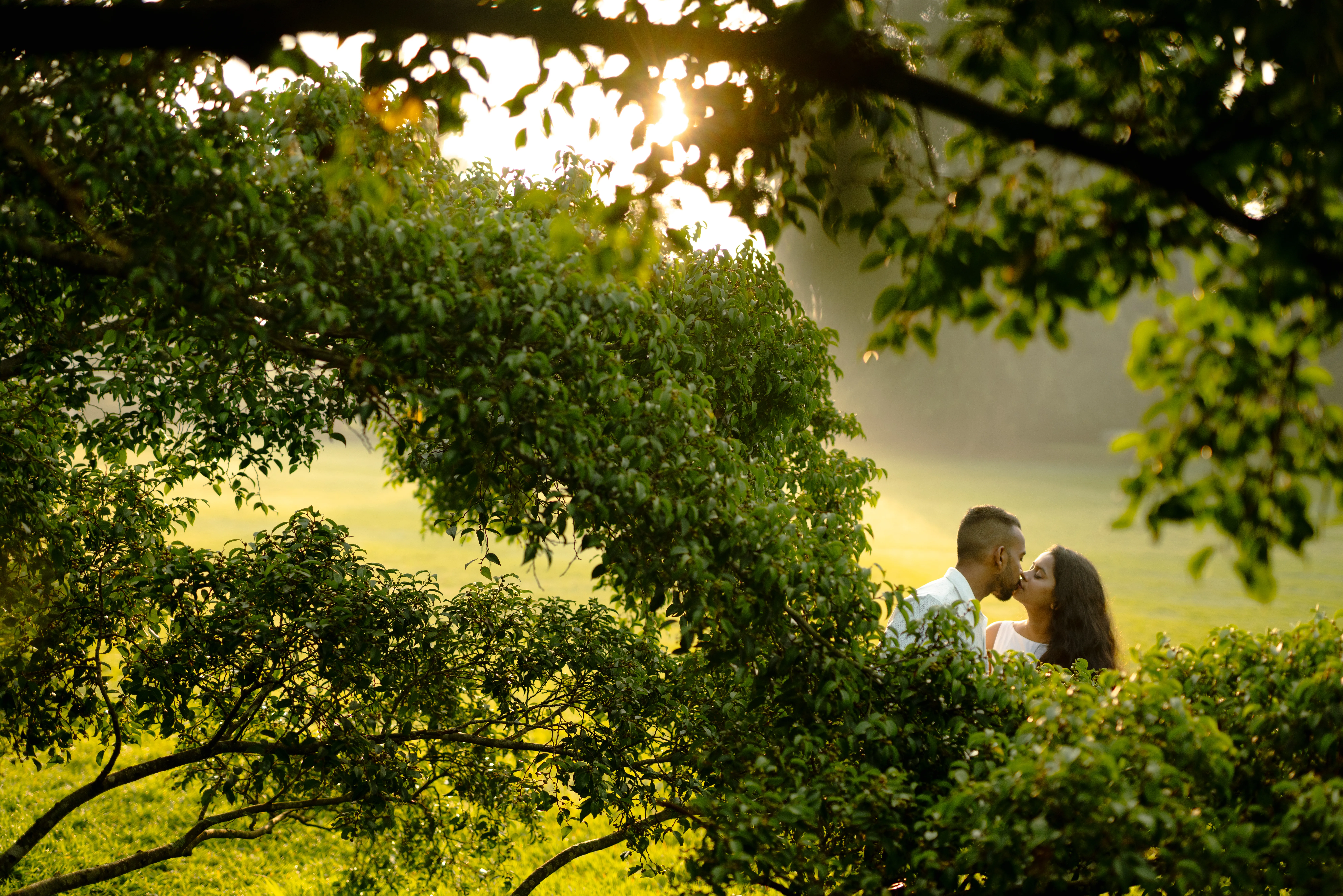 A couple sharing a kiss in a sunlit green garden